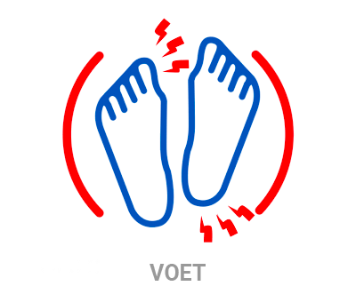 VOET