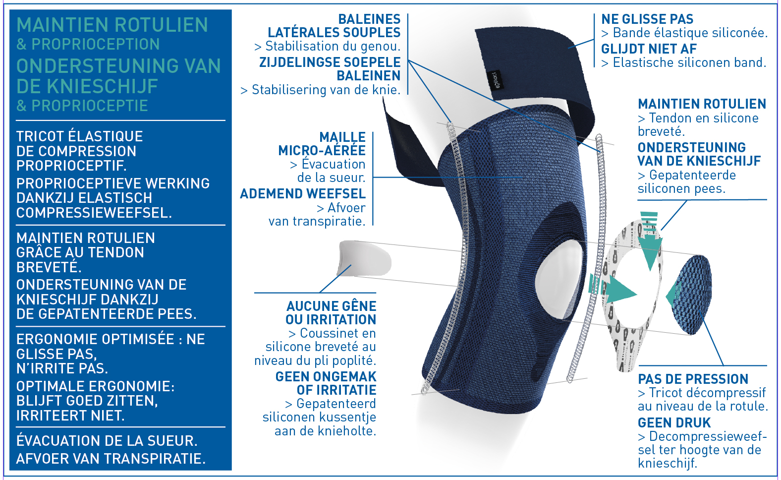 GENOUILLÈRE ROTULIENNE